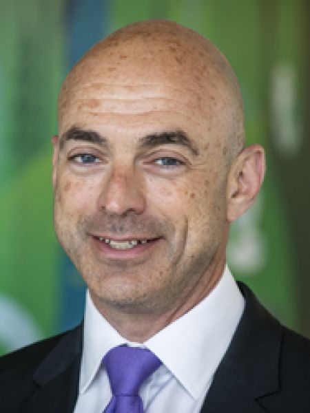 David Rothstein